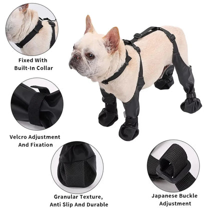 Pawguard Pro Dog Boots – Waterproof, Non-Slip Protection for Every Step