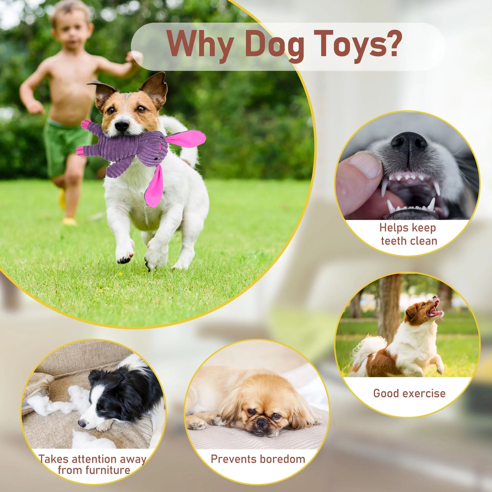 Dog Toys, 5 Pack, Squeaky Plush Dog Chew Toys Gift for Small Medium Large Dogs, Puppy